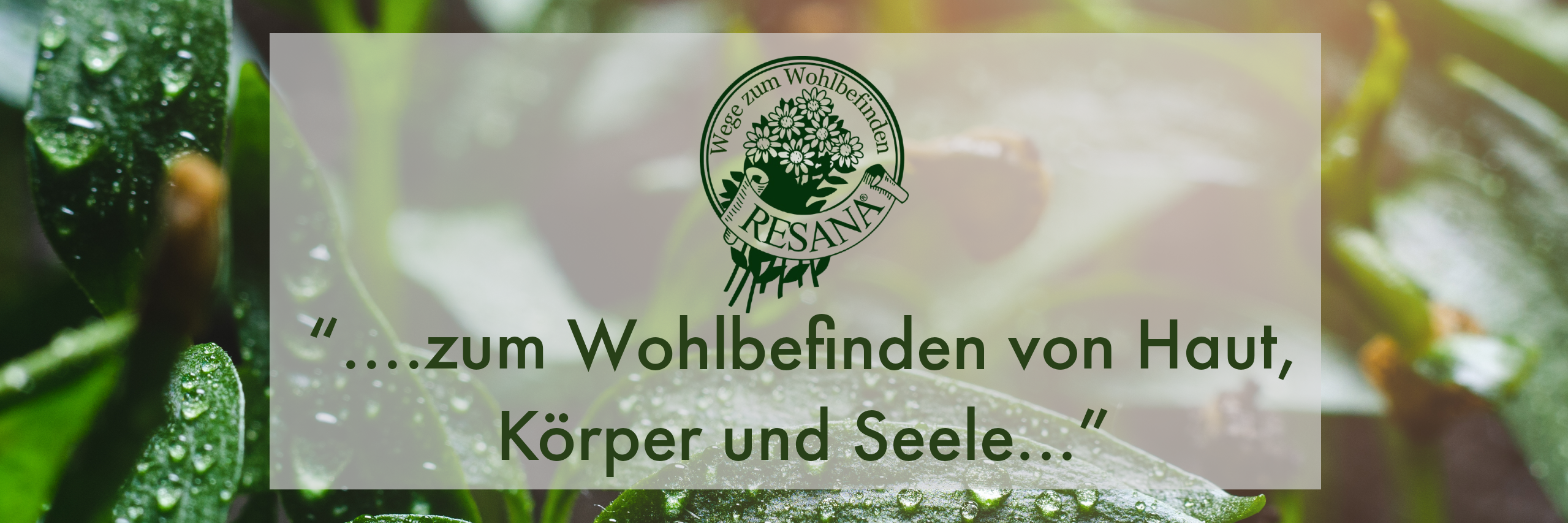 Folgt uns auf Instagram